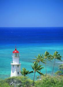 Ìì½ò¸Û(¼¯ÍÅ)ÓÐÏÞ¹«Ë¾Ô¶Ê³¤ÓÚÈêÃñ±»¿ª³ýµ³¼®