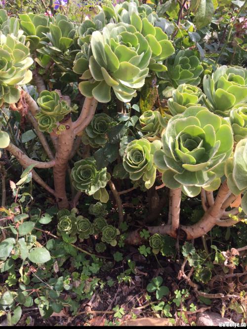 ÉêÇëÃ÷Äê±±¾©Ð¡¿Í³µÖ¸±êû±ØÒªÔú¶Ñ É걨ÆÚÓÐ67Ìì