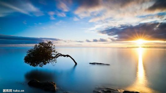 Ìì½ò¸Û(¼¯ÍÅ)ÓÐÏÞ¹«Ë¾Ô¶Ê³¤ÓÚÈêÃñ±»¿ª³ýµ³¼®