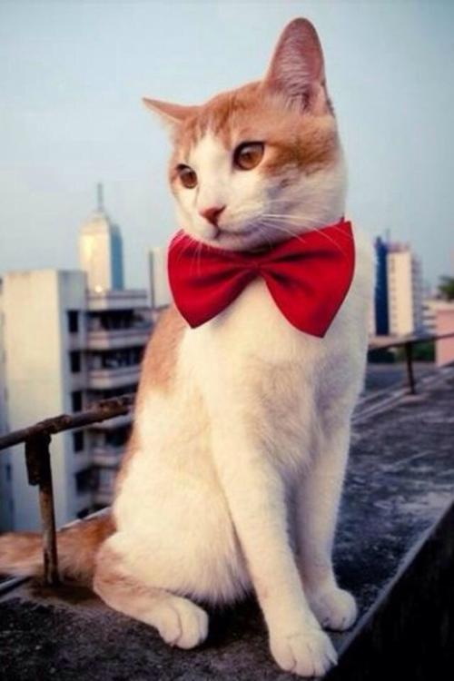 ܹģ2000ԪйҵĻ仧Ϻ