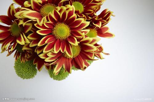 31ÈÕA¹ÉºìÅÌÊÕ¹Ù ´´Òµ°åÖ¸ÊýÈ«ÄêÕǽü65%