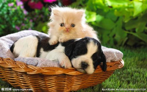 Àî¿Ëǿͬ°¢¶û¼°ÀûÑÇ×ÜÀí½ÜÀµÂͨµç»°