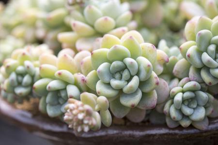 ÉúÒâʧ°Üծ̨¸ßÖþ£¬ÄÐ×Ó¾¹»¹´òÉÍÖ÷²¥50¶àÍòÔª