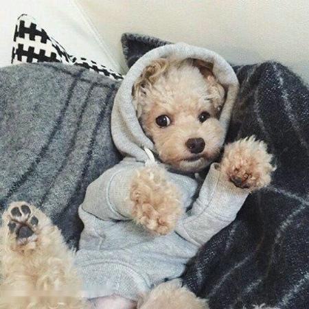 Õã½ÎÂÁëÔâÓöº±¼û¶¬ºµ:ÓеÄÈ˼ÒÉϲÞËù¶¼ÒªÔ¼Ò»Æð