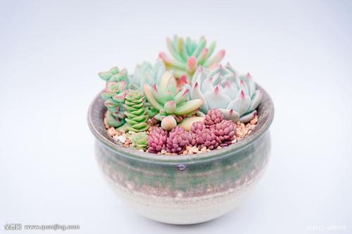 վƻش羳Ĳ 永ʽ4.4