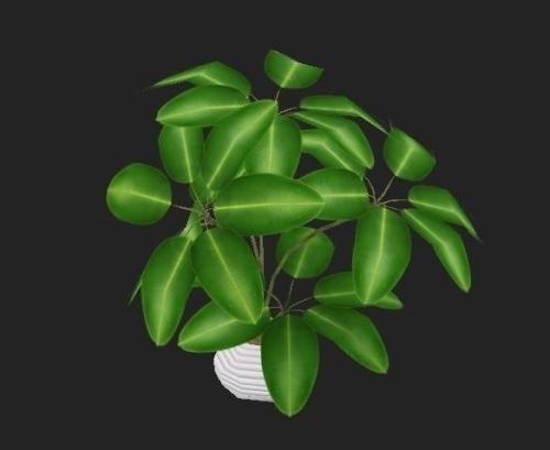 ŷ»׼202111ʱִӢŷЭ