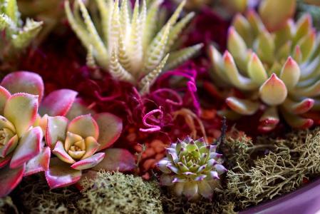 ³öÈëÐ¡ÇøÐèÈËÁ³Ê¶±ð?¾ÓÃñµ£ÐÄÐÅÏ¢Ôâй© ºÏ·¨Âð?